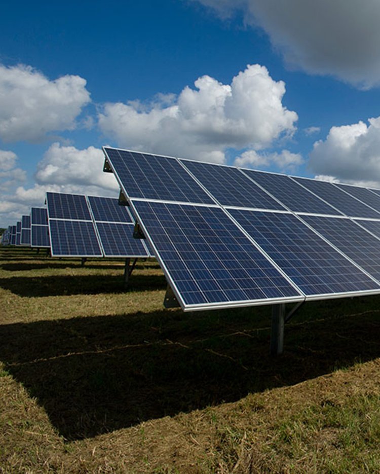 Steam Turbine Forgings