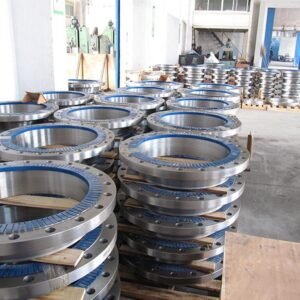 duplex stainless steel flanges